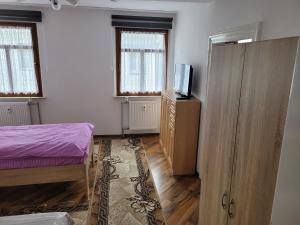 a bedroom with a bed and a tv and windows at 3 Zimmer Wohnung für 6 Personen in Gößnitz