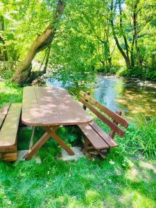 a picnic table and benches in the grass near a creek at River House Transylvania in Frăsinet