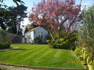 a yard with a house and a tree with pink flowers at Birch House Bed & Breakfast in Weymouth