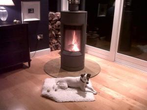 a dog laying on a rug in front of a fireplace at Birch House Bed & Breakfast in Weymouth