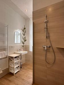 een badkamer met een douche en een wastafel bij Zum Alten Schulhaus in Burg