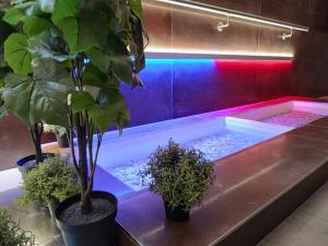 d'une baignoire avec des plantes en pot. dans l'établissement Anna SPA & Wellness Hotel Nejdek, à Nejdek