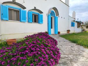 Zahrada ubytování Villino Tronchetto Bianco
