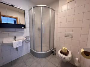 a bathroom with a shower and a toilet and a sink at Studio Rehkitz by Interhome in Kaprun