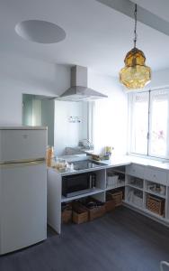 Kuchyň nebo kuchyňský kout v ubytování Collector's Home