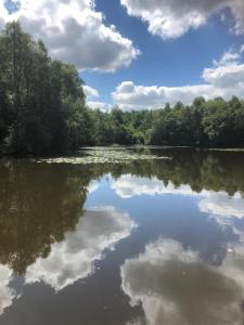 a river with trees and clouds in the water at Willa Tini Sauna Basen in Gościno