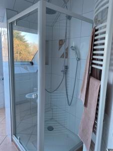 een douche met een glazen deur in de badkamer bij Studio - a79311 in Loxstedt