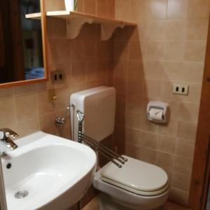 ein Badezimmer mit einem weißen WC und einem Waschbecken in der Unterkunft Al Piz Monolocale in Colle Santa Lucia