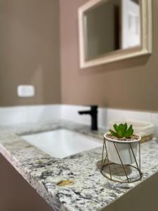 a bathroom counter with a sink with a potted plant on it at Hotel Boutique Los Pinos in Santa Rosa de Copán