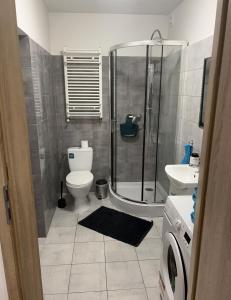 La salle de bains est pourvue d'une douche, de toilettes et d'un lavabo. dans l'établissement Kamienica5, à Chorzów