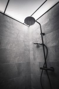 a shower with a shower head in a bathroom at Tauernlust Outdoor & Relax in Mallnitz