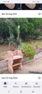 A garden outside Odori di zagara