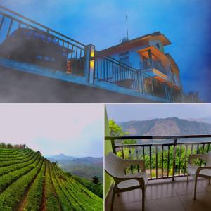 a collage of two pictures of a vineyard at Vaga Mist Resort Vagamon in Idukki