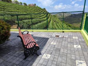 a bench with a view of a tea plantation at Vaga Mist Resort Vagamon in Idukki