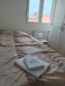 Afbeelding uit fotogalerij van Nikolici - Free Parking in Vranje +26 foto's