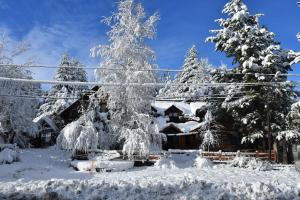 una casa ricoperta di neve di fronte agli alberi di ABEDULES CABAÑAS PEHUENIA a Villa Pehuenia
