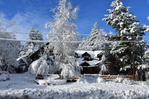 a house covered in snow in front of trees at ABEDULES CABAÑAS PEHUENIA in Villa Pehuenia