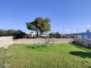 un piccolo albero in un campo con un muro di Villa Runchia a 500 mt dal mare - San Foca a San Foca