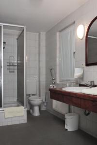 a bathroom with a toilet and a sink and a shower at Haus Waldfrieden in Bad Saarow