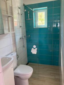 uma casa de banho com um WC e uma cabina de duche em vidro. em Paphegy Apartman em Balatongyörök