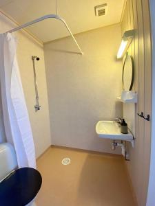 a small bathroom with a sink and a shower at Skoghus in Silsand