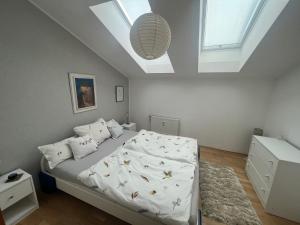 a bedroom with a bed and a skylight at Apartmán Lidická in Karlovy Vary