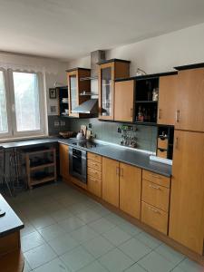 a large kitchen with wooden cabinets and appliances at Apartmán Lidická in Karlovy Vary