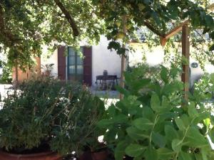 A garden outside Campo alle Monache