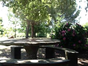 A garden outside Campo alle Monache