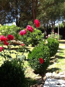 A garden outside Campo alle Monache