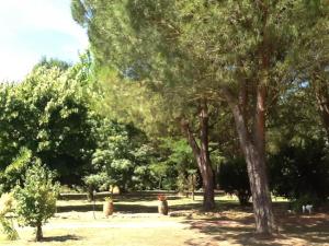 A garden outside Campo alle Monache