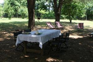 A garden outside Campo alle Monache