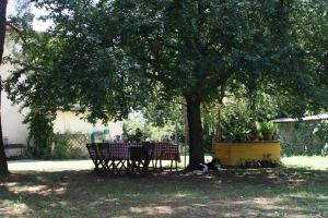A garden outside Campo alle Monache
