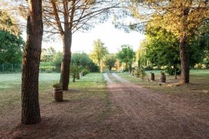 A garden outside Campo alle Monache