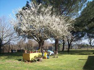 A garden outside Campo alle Monache