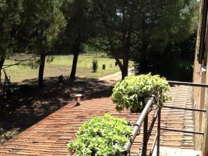 A garden outside Campo alle Monache