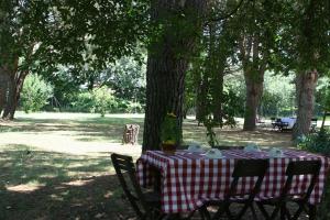 A garden outside Campo alle Monache