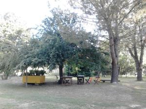 A garden outside Campo alle Monache