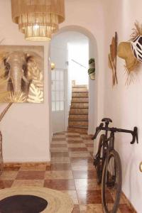 Jazda na bicykli v okolí ubytovania Casa Malagueña a pie de playa