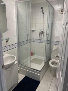 La salle de bains est pourvue d'une douche, de toilettes et d'un lavabo. dans l'établissement Great Location 4 bedroom, à Londres