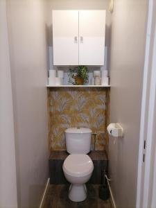 La salle de bains est pourvue de toilettes blanches et d'une armoire blanche. dans l'établissement Aux arcades du lac, à Montigny-le-Bretonneux