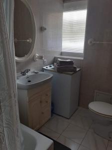 a bathroom with a sink and a toilet and a mirror at VUT El Refugio in Villablino