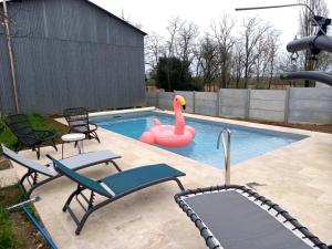 una piscina con un cisne rosa en el agua en GITE ENTRE TERRE ET MER, en Mareuil-sur-Lay