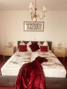 1 Schlafzimmer mit 2 Betten und roten Kissen in der Unterkunft Haus Bohle in Dornbirn