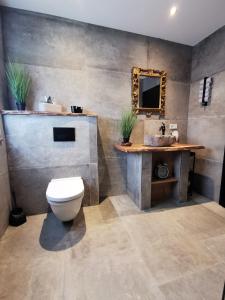 a bathroom with a toilet and a sink at Exklusives Landhaus Haar, Emsland in Emsbüren