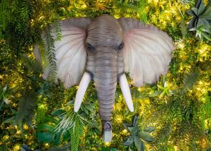 é mostrado um elefante com presas de marfim em L’Amazonie Gite Spa em Beutin