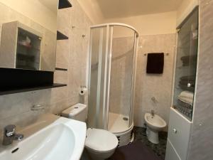 Vannituba majutusasutuses Apartman Panorama +19 fotot