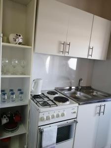 Кухня или мини-кухня в Apartman Sun

