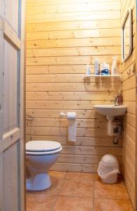 a wooden bathroom with a toilet and a sink at Chalupa Na Paloučku in Orlické Záhoří 