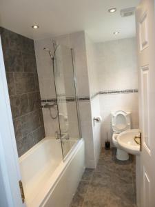 a bathroom with a shower and a toilet and a sink at Hendre Wen luxury cottage Betws y Coed in Betws-y-coed +16 photos